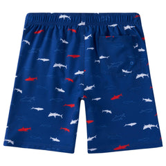 WILDBREATH Boys UPF 50+ Quick Dry Swim Trunks - Bassdash