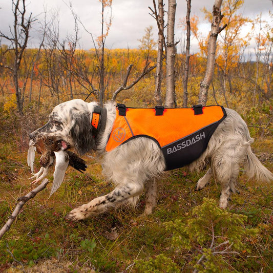 Dog Safety Vest FV13 - Bassdash