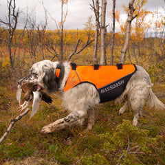 Dog Safety Vest FV13 - Bassdash