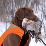 blaze orange vest for dog