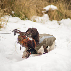 Insulated Dog winter Vest for hunting - Bassdash