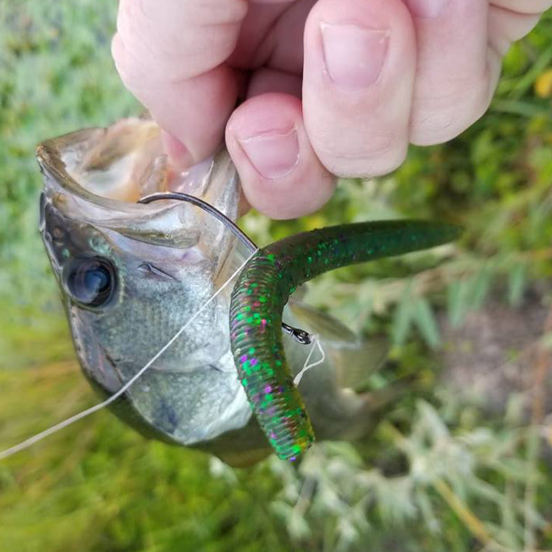 Ewg-Hooks-for-Bass-Fishing-Texas-Rig-Hooks -Offset-Extra-Wide-Gap-Plastic-Worm-Hook Set Freshwater Bass Rubber Worms  Bulk Big Fish Swim Bait Lures Hook Kit 1/0 2/0 3/0 6/0 25 - 50 Pack 2/0 25  Pack