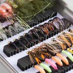 76 Pcs Fly Fishing Lure Trout Flies Kit with Fly Box - Bassdash