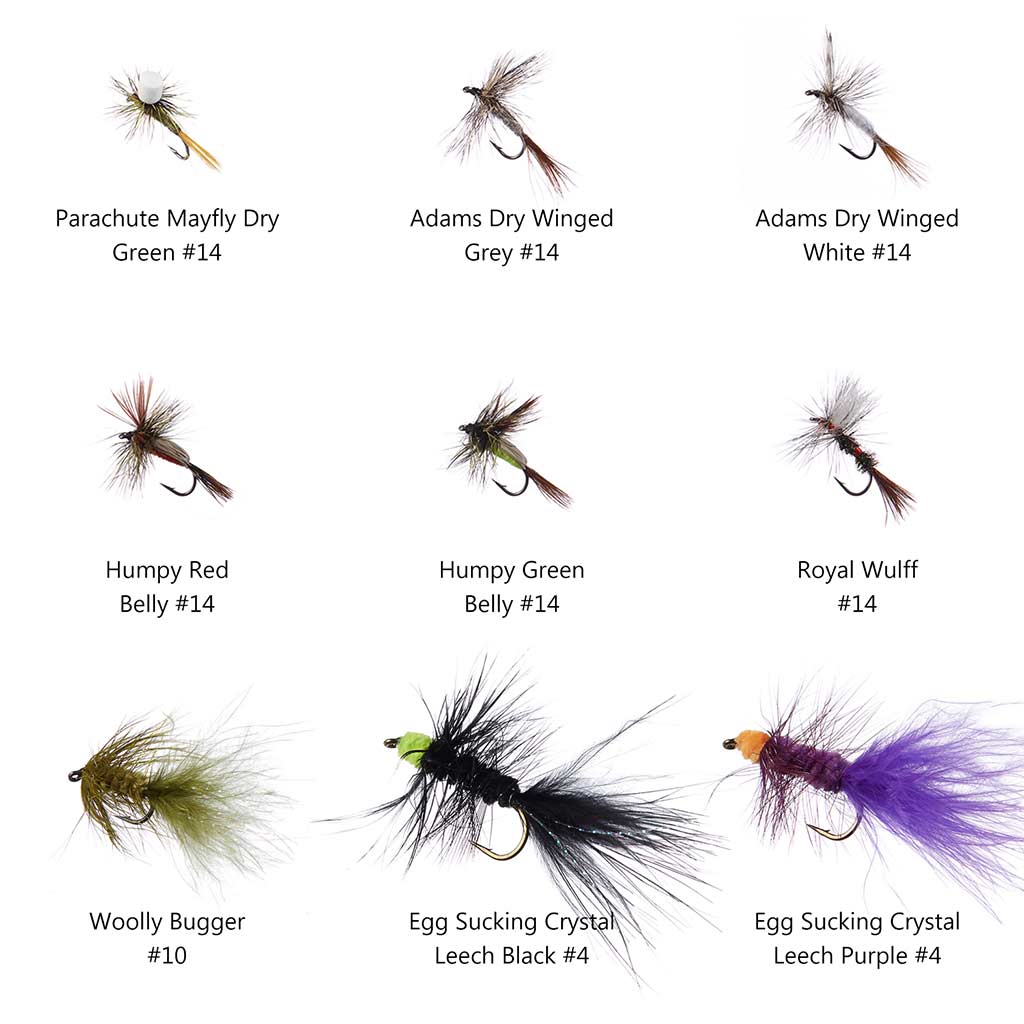  Fly Fishing Flies Dry Flies Assortment Handmade Fly Fishing  Lures Nymph Head Bead Flies for Trout bass with Package Box(16PC 8 Patterns Carp  Flies Collection) : Everything Else